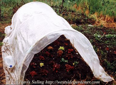 Completed cloche